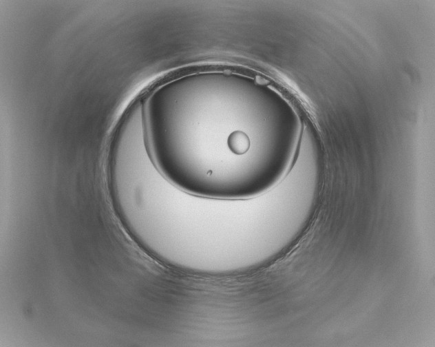 X0000116041368200912041803