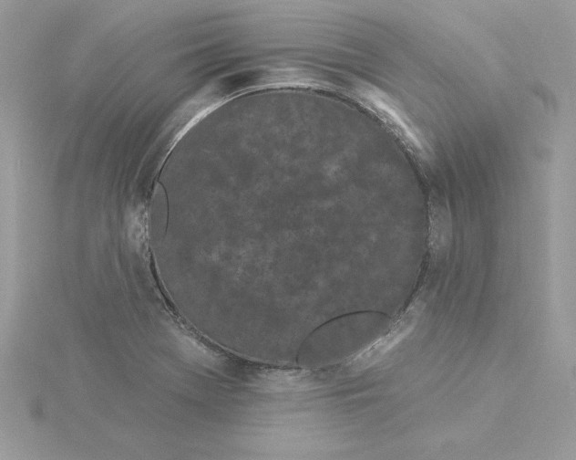 X0000116041369200912041803