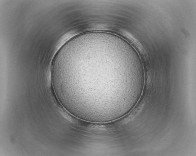 X0000116041370200912041803