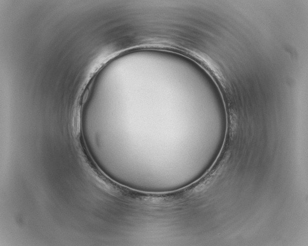 X0000116041371200912041803