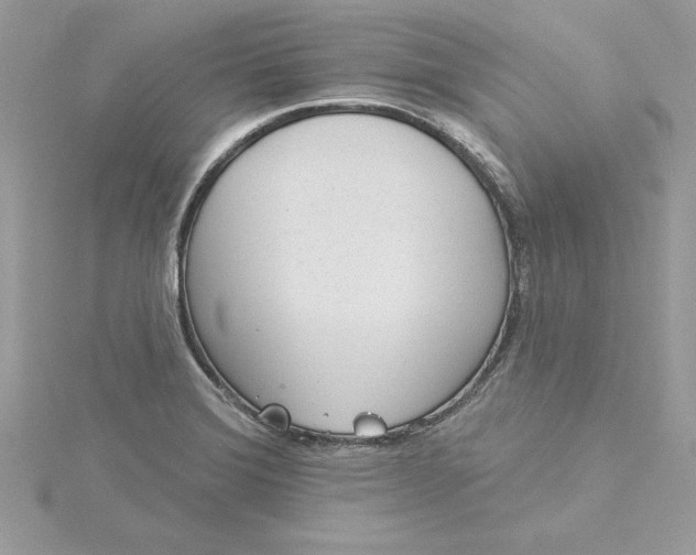 X0000116041372200912041803