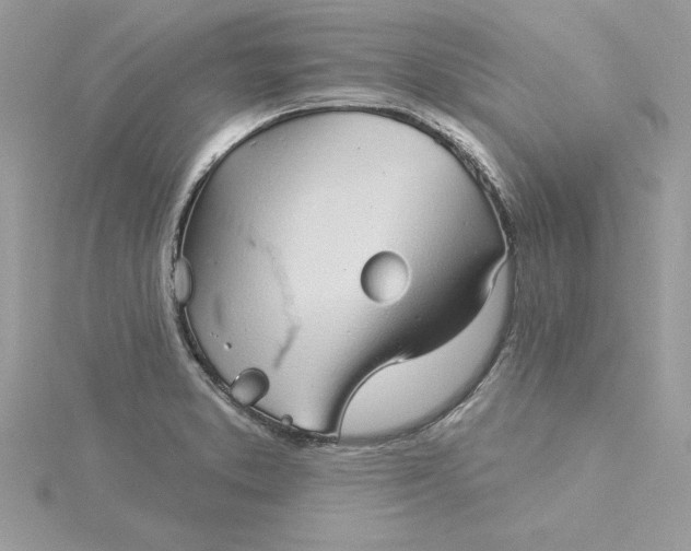 X0000116041373200912041803