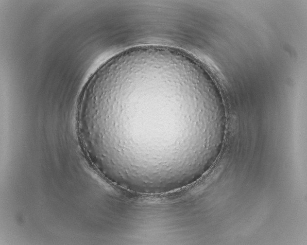 X0000116041374200912041802