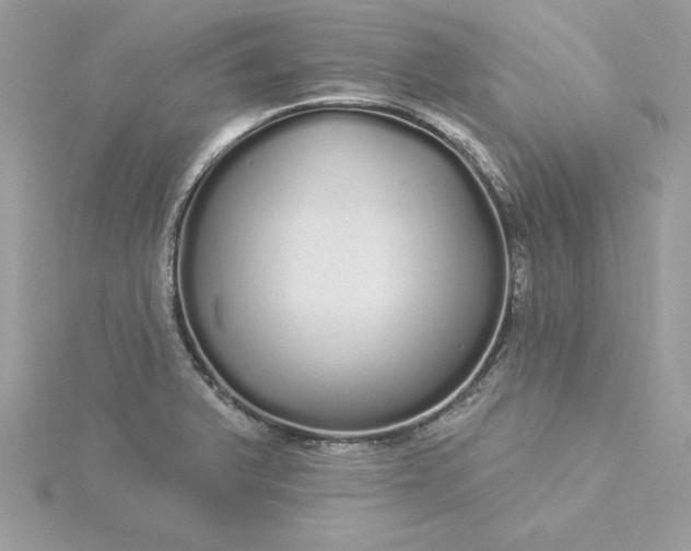 X0000116041375200912041802