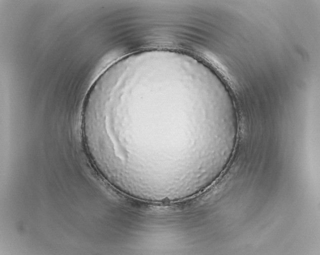 X0000116041378200912041802