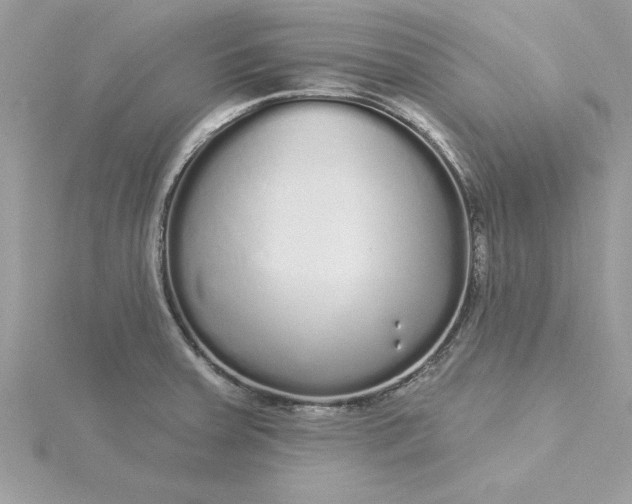 X0000116041379200912041802