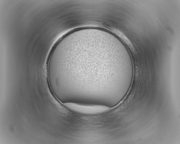 X0000116041380200912041802