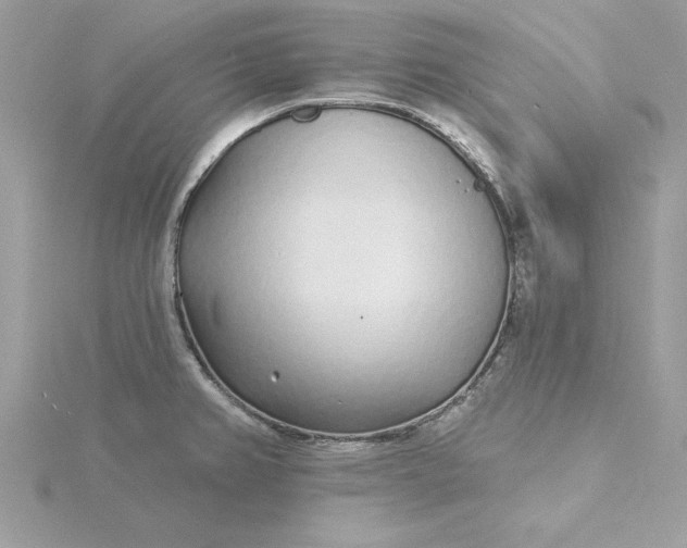 X0000116041382200912041802