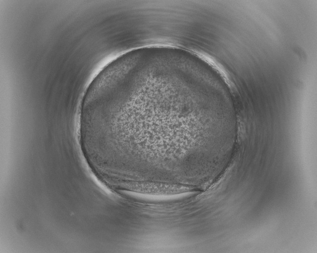 X0000116041383200912041802