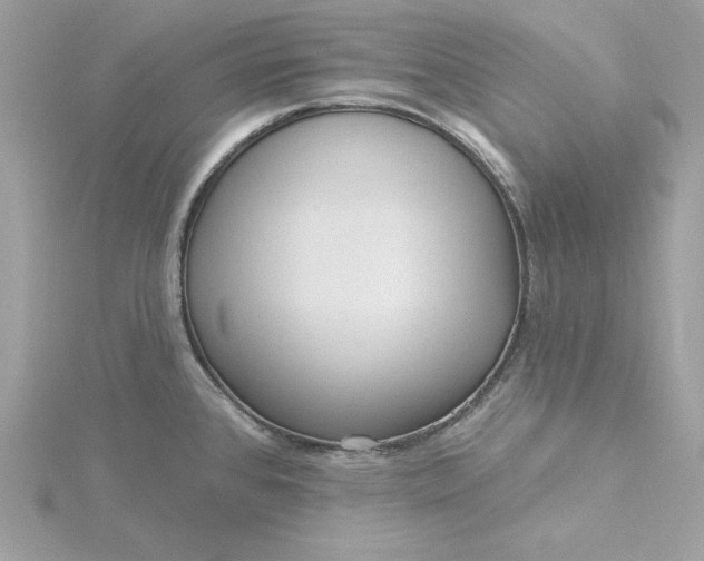 X0000116041384200912041802