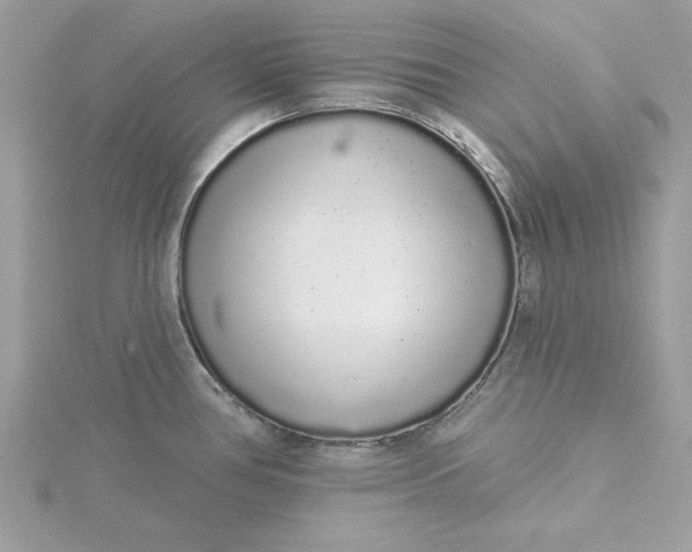 X0000116041386200912041802