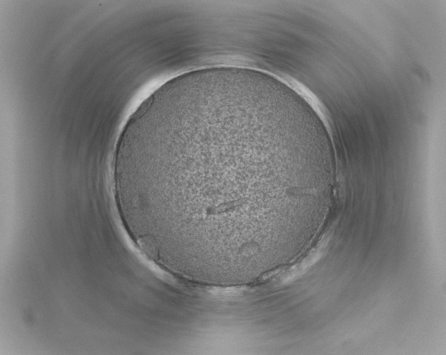 X0000116041389200912041802