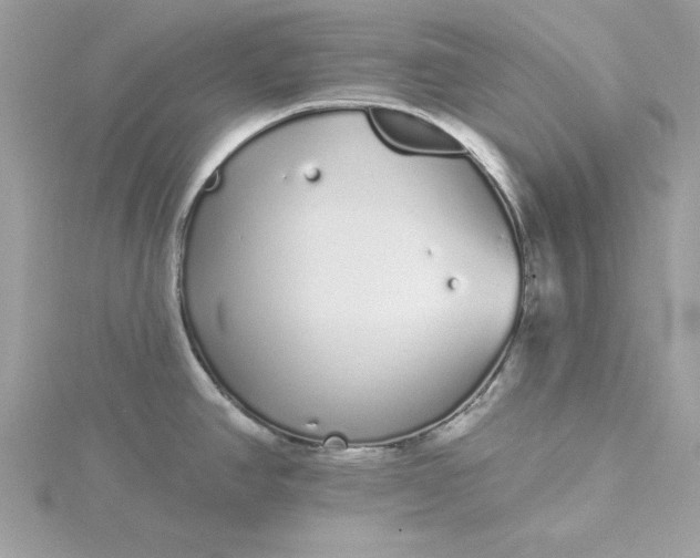 X0000116041390200912041802