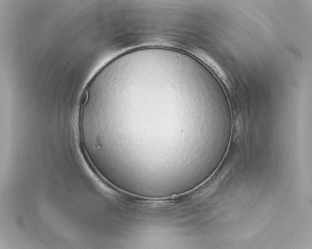 X0000116041391200912041802