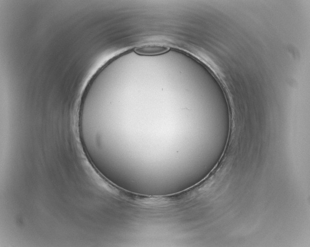 X0000116041392200912041802