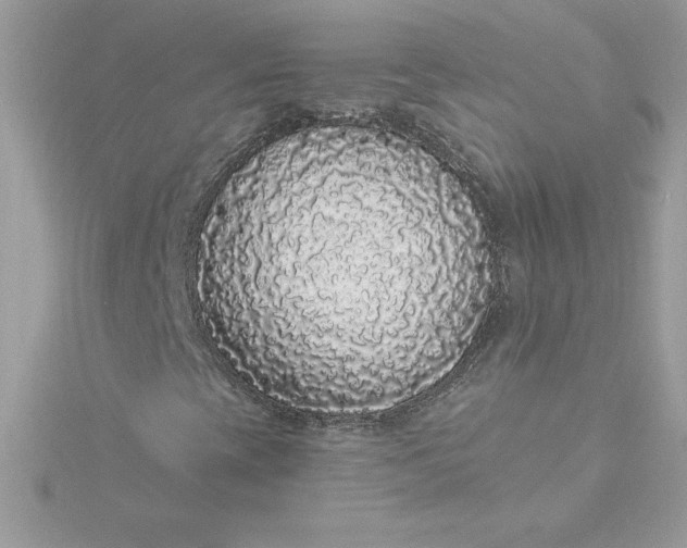 X0000116041393200912041801