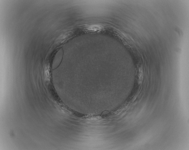 X0000116041394200912041801