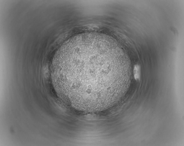 X0000116041395200912041801