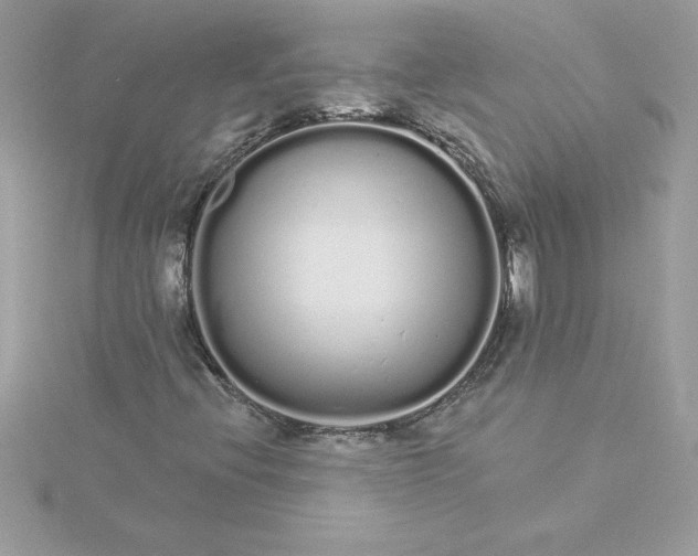 X0000116041396200912041801