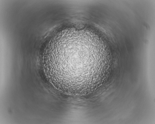 X0000116041397200912041801