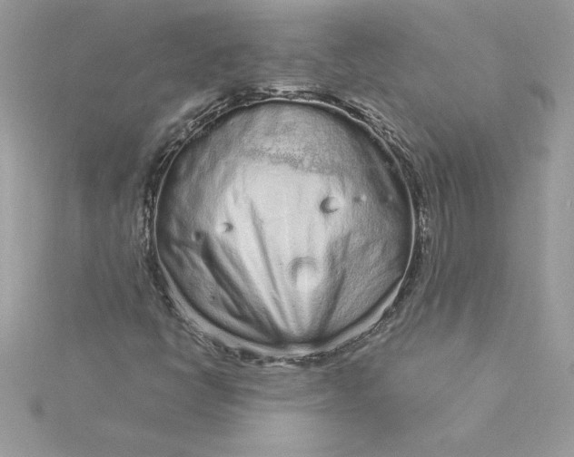 X0000116041398200912041801