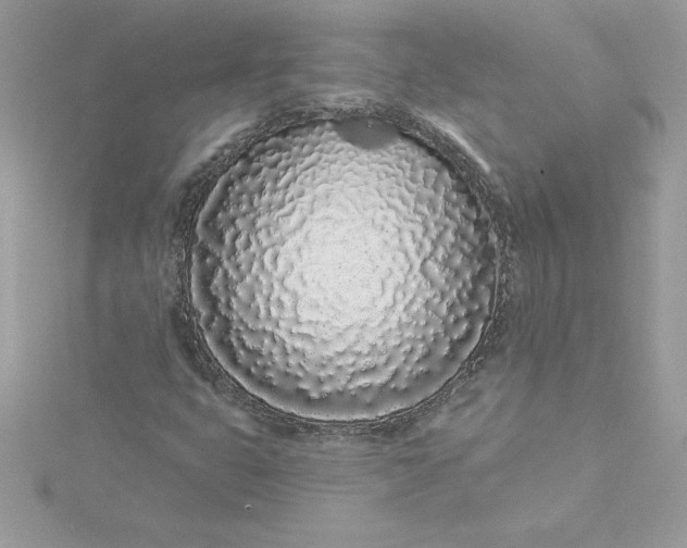 X0000116041399200912041801