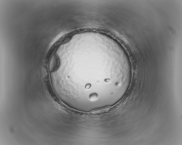 X0000116041400200912041801