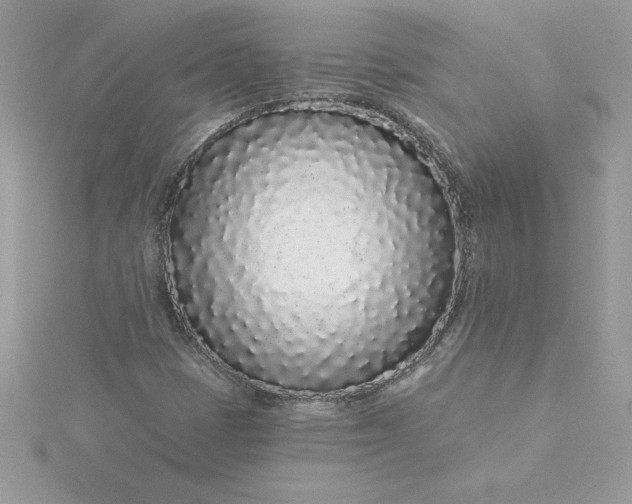 X0000116041401200912041801