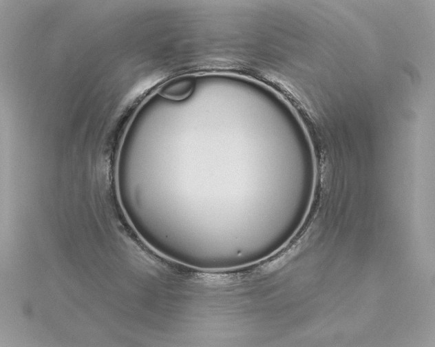 X0000116041402200912041801