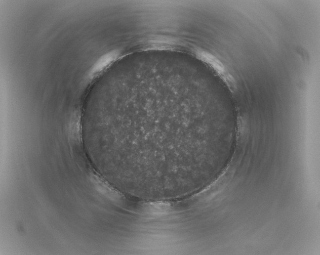 X0000116041403200912041801