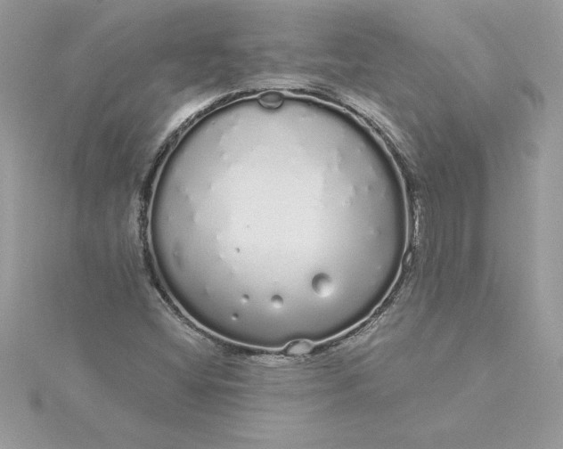 X0000116041404200912041801