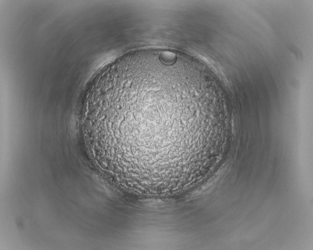 X0000116041405200912041801