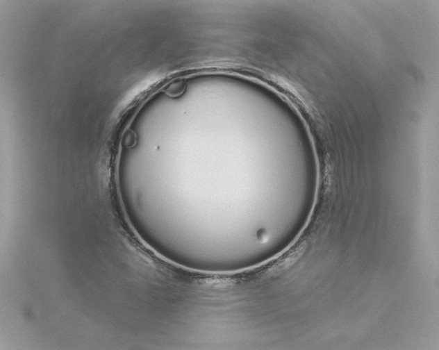 X0000116041406200912041801