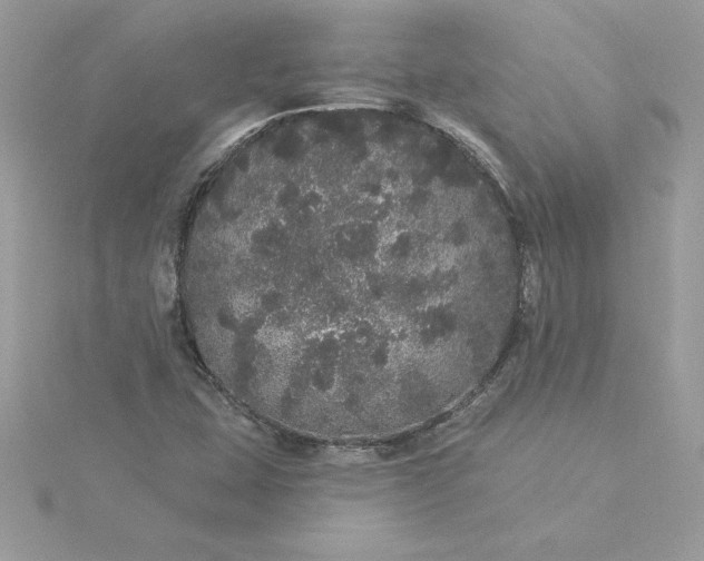 X0000116041407200912041801