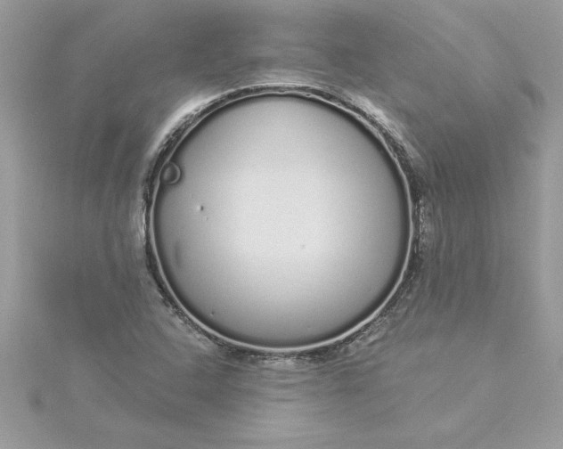 X0000116041408200912041801