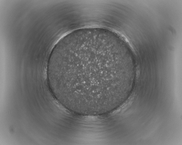 X0000116041409200912041801