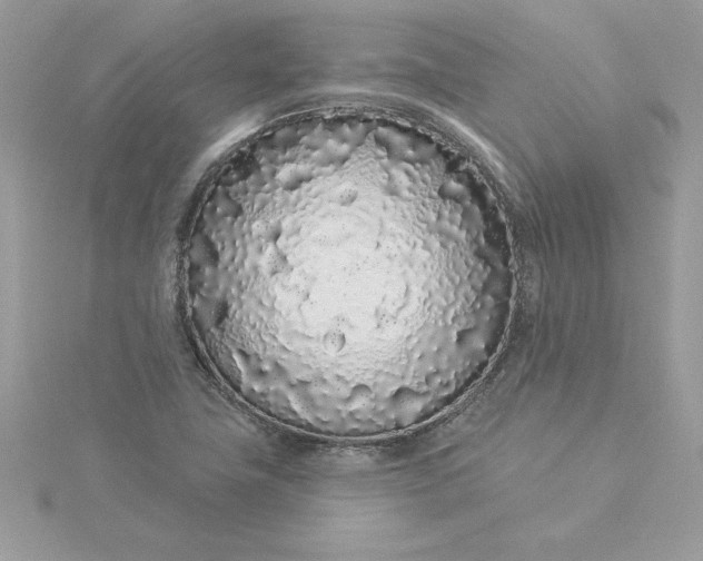 X0000116041411200912041801