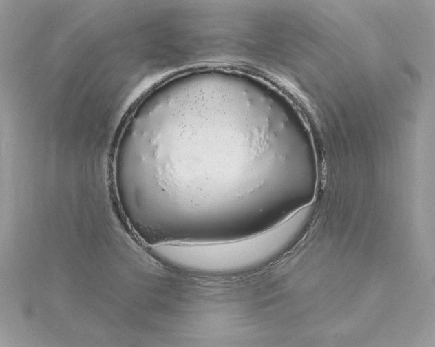 X0000116041412200912041801