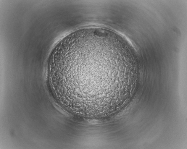 X0000116041413200912041801