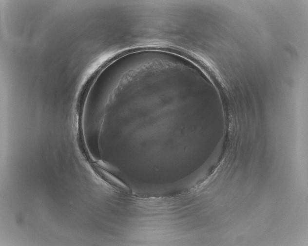 X0000116041414200912041801