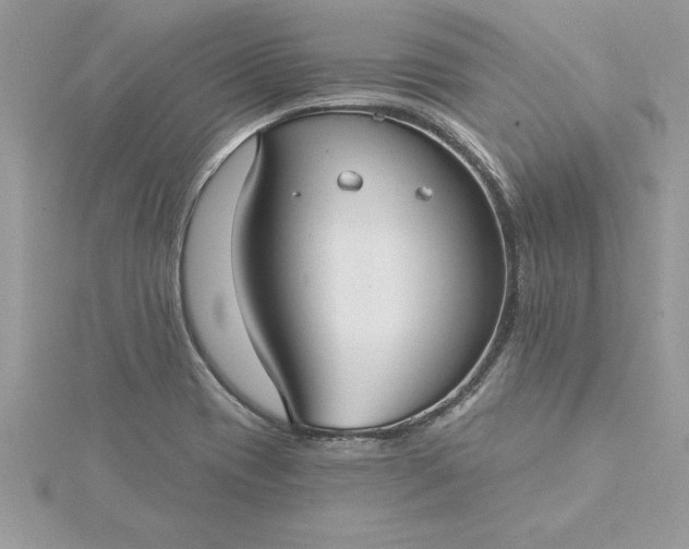 X0000116041417200912041802