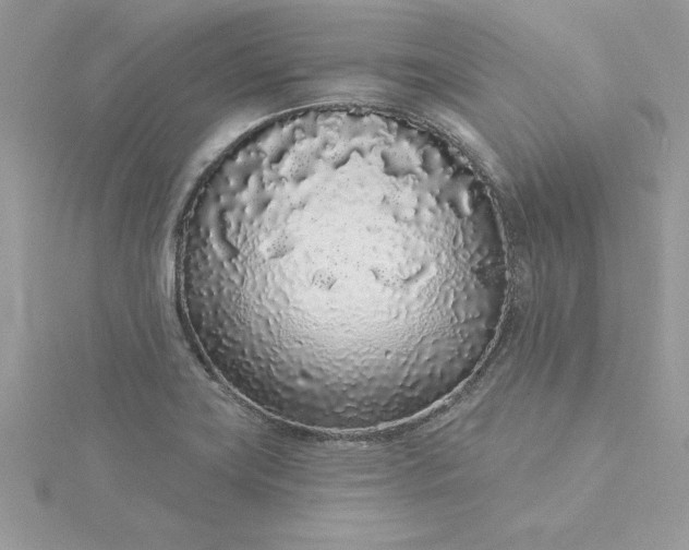 X0000116041419200912041802