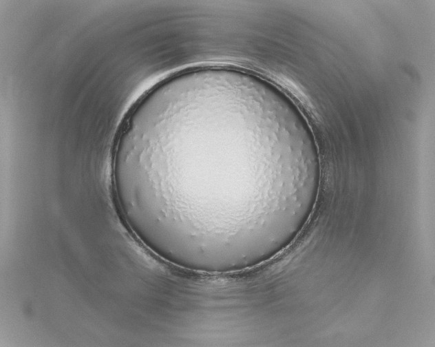 X0000116041420200912041802