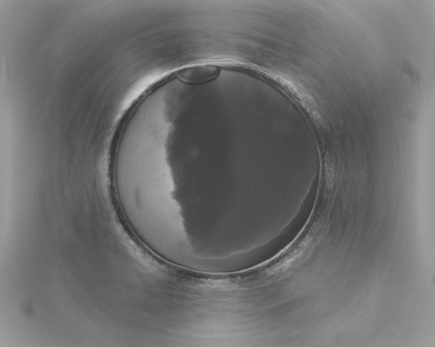 X0000116041422200912041802