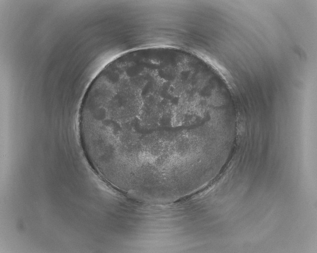 X0000116041423200912041802