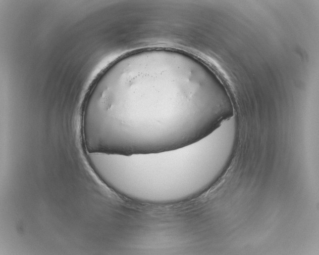 X0000116041424200912041802