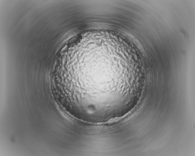 X0000116041425200912041802