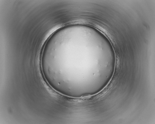 X0000116041426200912041802