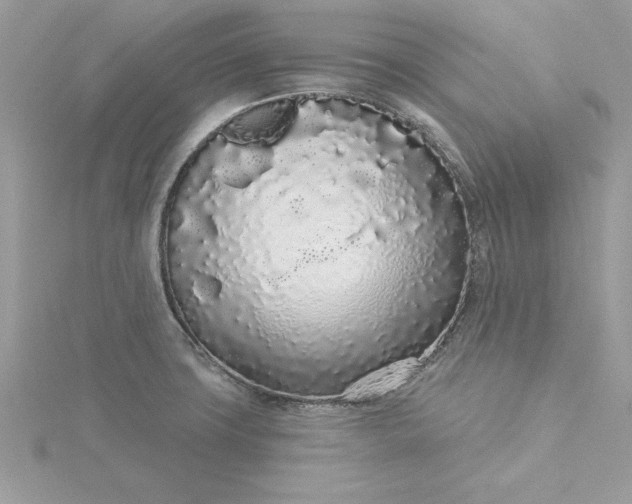 X0000116041427200912041802