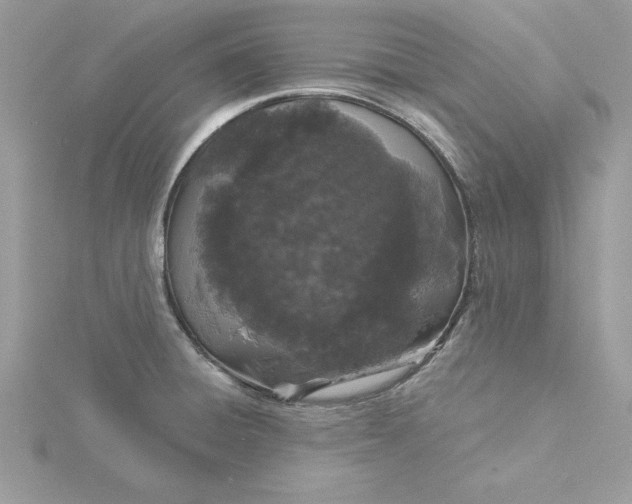 X0000116041428200912041802